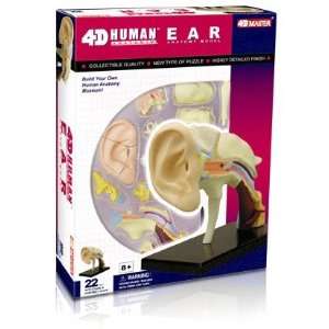 4D Human Ear Anatomy Model  Industrial & Scientific