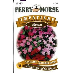  Ferry Morse Annual Flower Seeds 1981 Impatiens 