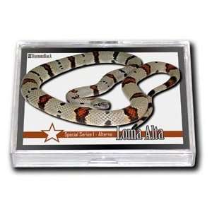  Collectors Edition (Diamondback Herpetology Trading Cards 