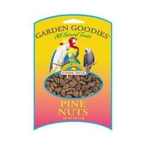    Sun Seed Garden Goodie Pine Nuts Bird Treat 4 oz bag