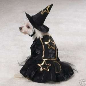   Casual Canine Lil Witch Dog Halloween Costume SMALL