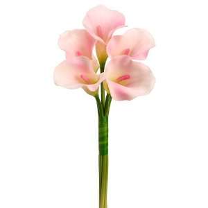  21 Calla Lily Bouquet x5 Pink (Pack of 6)