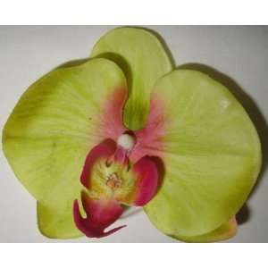  Tanday Exotic Phalaenopsis Orchid Flower Hair Clip Lime 