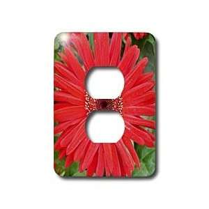 Florene Flowers   Red Carnation   Light Switch Covers   2 plug outlet 