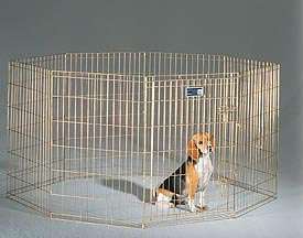 Exercise Pen + Crate