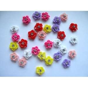 Nail Art 3d 30 Pieces Mix Color Rose/Rhinestone for Nails, Cellphones 