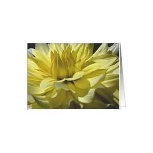  Yellow Dahlia Flower Photo Blank Note Card Card Health 