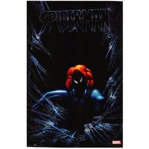  Amazing Spider Man   Movie Poster   22 x 34