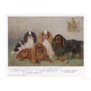 Four Types of King Charles Clevedon Champions Giclee Poster Print by 