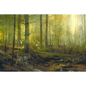 Michael Coleman   Eyes of the Forrest   Whitetail Deer Giclee on Paper