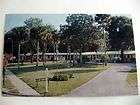 Driftwood Lodge Motel Daytona Beach Florida Postcard  
