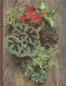   House Plants Cactus Indoor Trees Gardening Encyclopedia Time Life 1977