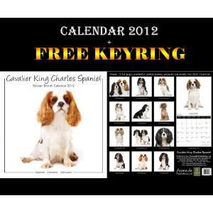  Cavalier King Charles Studio Dogs Calendar 2012 + Free 
