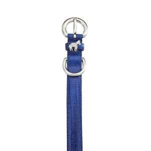  Lizard Dog Collar   Royal Blue (w/ horse)