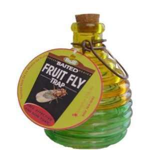  Glass Fruit Fly Trap