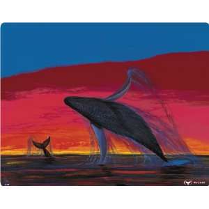   Whale Watching skin for  Kindle 3