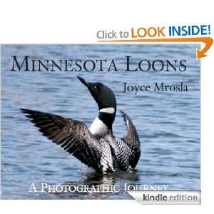 Start reading Minnesota Loons 