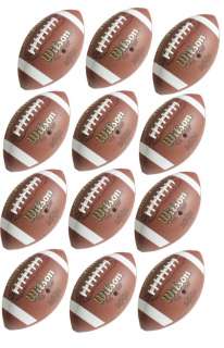 12) NEW WILSON WTF1665B Pee Wee Size American Football NCAA Balls 