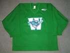 Worcester Ice Cats green old style logo practice jersey