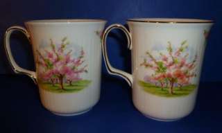 Royal Albert Blossom Time Bristol Coffee Mug x2 ^  