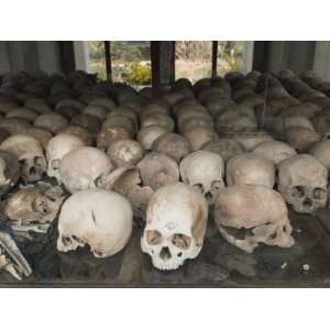  Some of the 9000 Skulls, the Killing Fields, Choeung Ek, Phnom Penh 