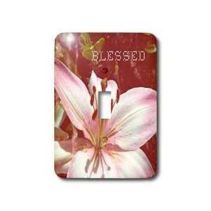 Patricia Sanders Flowers   Blessed Pink Lily Flower Flower Photography 