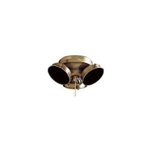   Universal Ceiling Fan Light Kit in Antique Brass