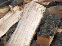 PLUM Wood Chunks For BBQ,Smoking and Grilling, Organic, Lots of Smoke 