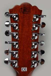 Washburn Acoustic D46 SCE12K Timberland Series from Scott Ians 