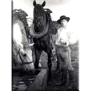 Horses at the Watering Trough 12x16 Streched Canvas Art by 