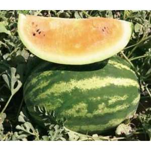  Watermelon Seeds   Tendersweet Orange (25 Seeds) Patio 